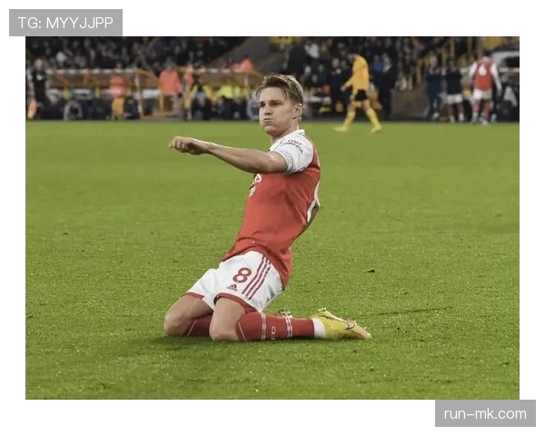 厄德高为何评价两极分化？技术风格与战术适配性关键解析